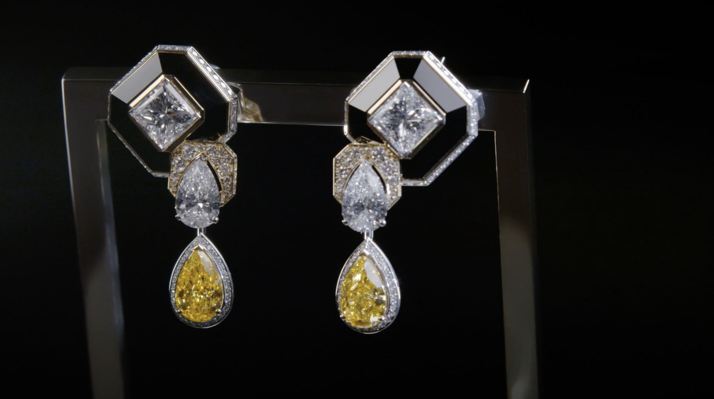 Illustration GANSE NOIRE DIAMANT