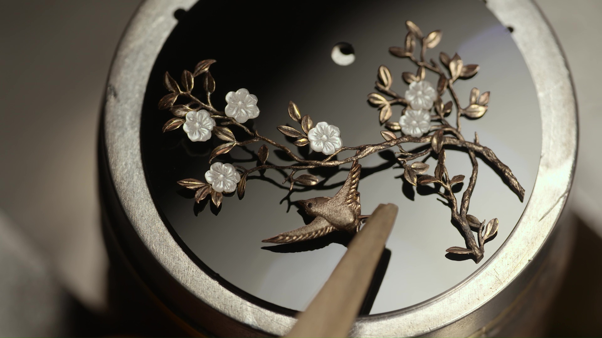 Illustration MADEMOISELLE PRIVÉ - OISEAU COROMANDEL