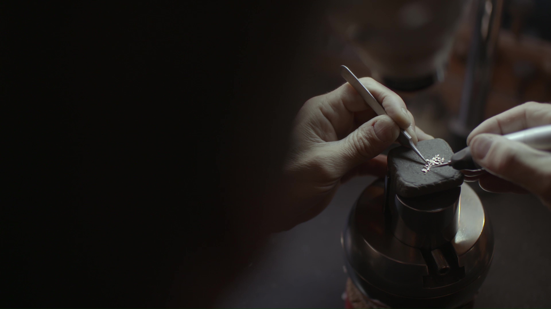 Illustration trois MADEMOISELLE PRIVÉ - OISEAU COROMANDEL