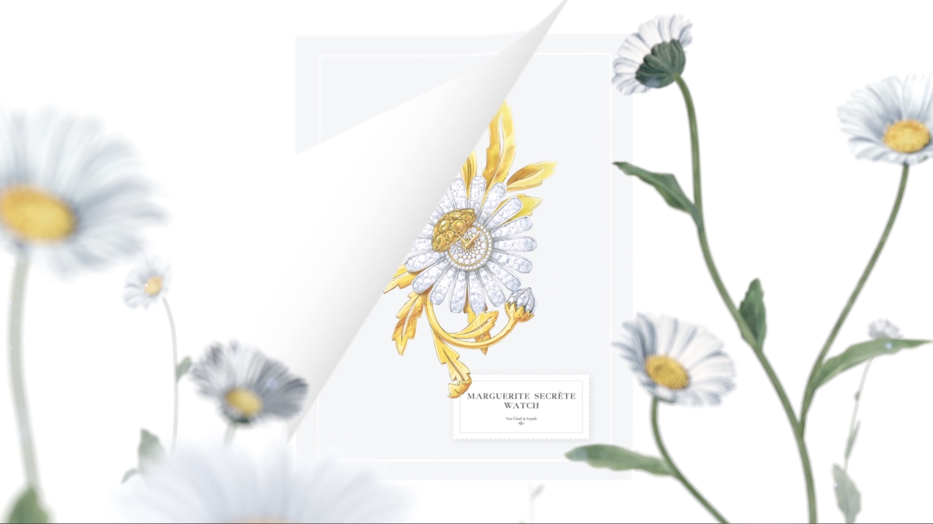 Illustration deux LE JARDIN