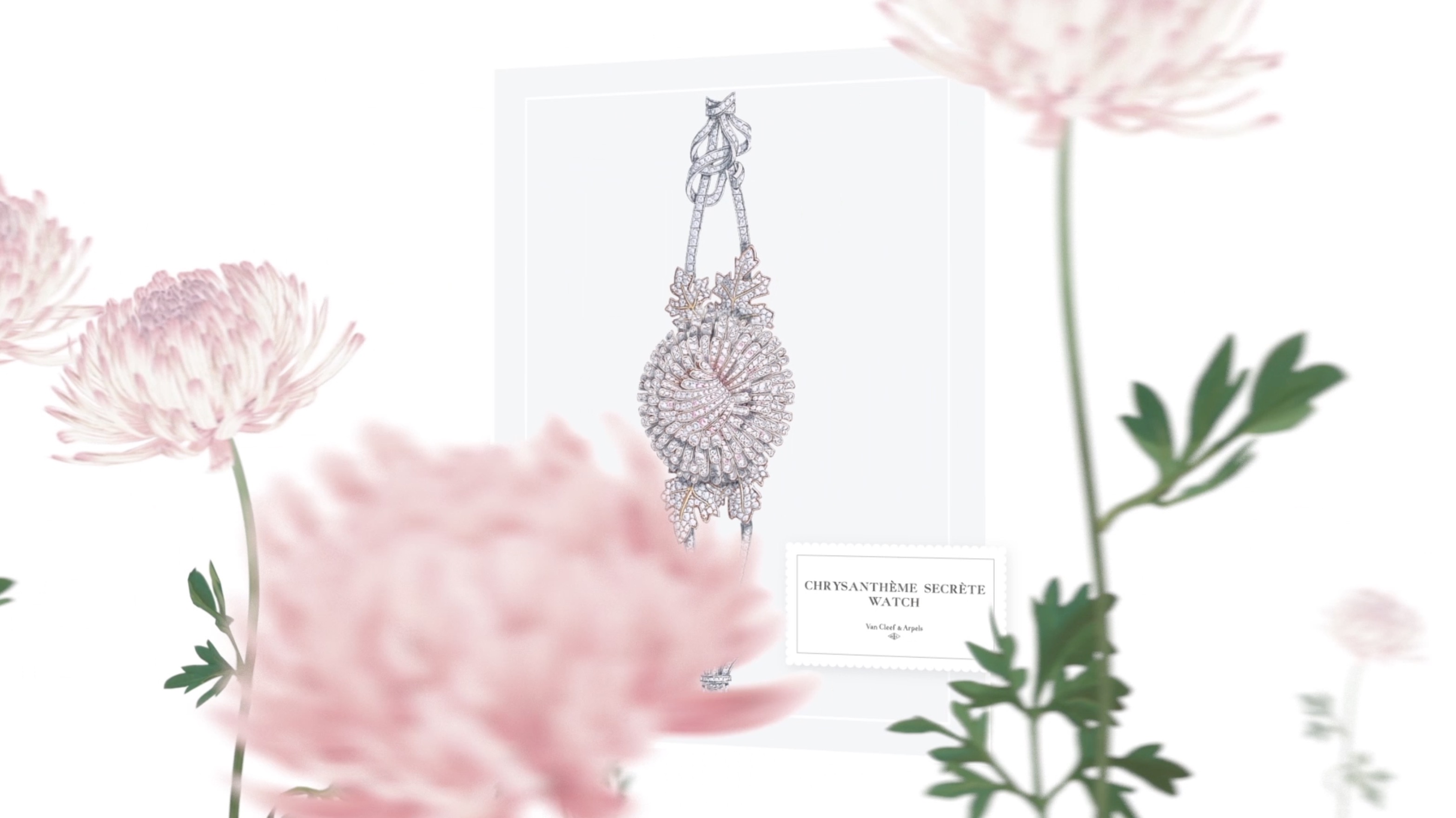 Illustration trois LE JARDIN